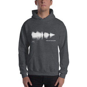 JR's SOUNDWAVE Series - Unisex Hoodie - "Come And Take Me Home"